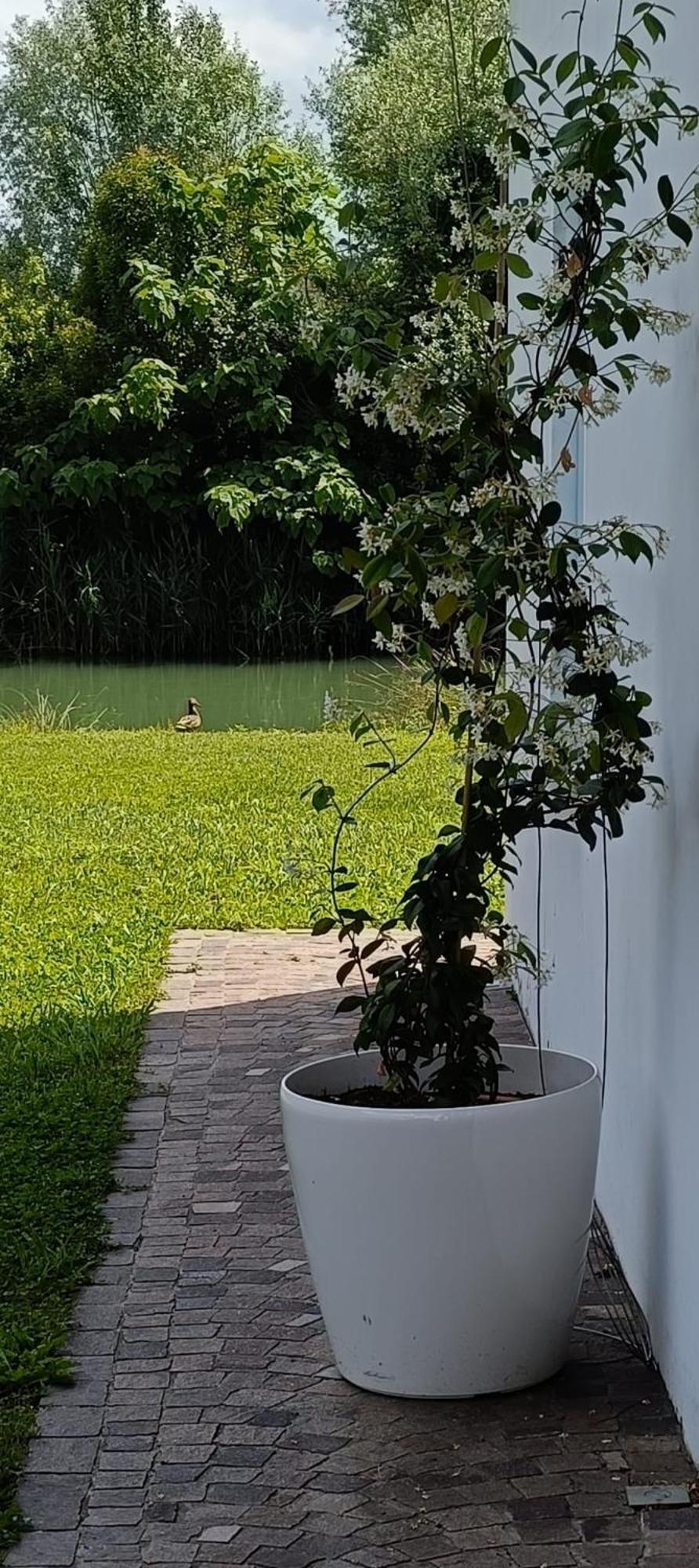 Hotel Locazione Riv'Al Sile Quinto Di Treviso Zewnętrze zdjęcie